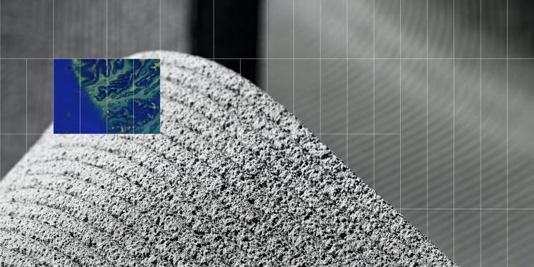 a greyscale image of microscopic fibres
