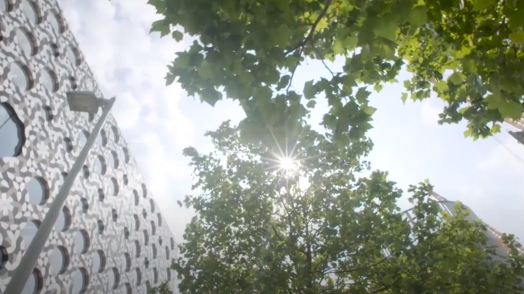 Facilities video thumbnail video