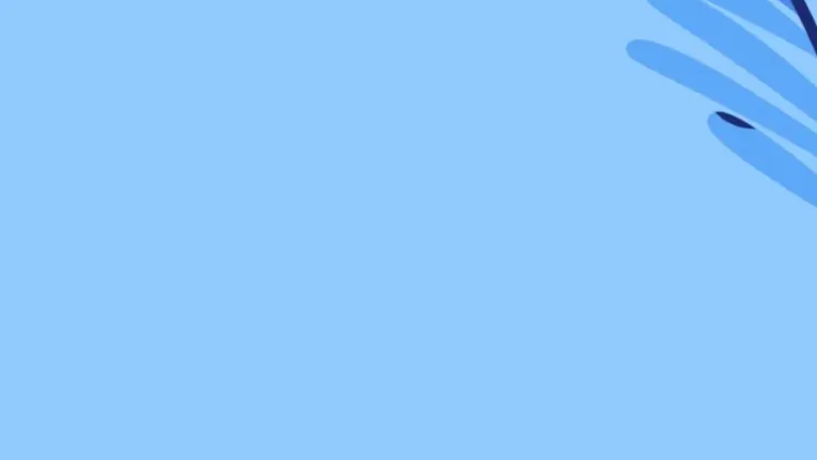 Shizza Majeed TikTok video