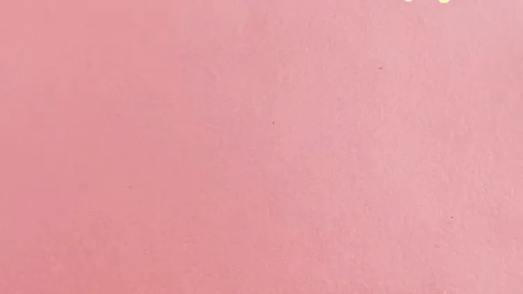 Shizza Majeed Mental Health Awareness Month video