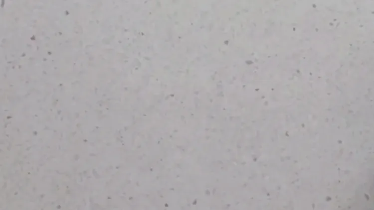 Shizza Majeed mental health awareness video