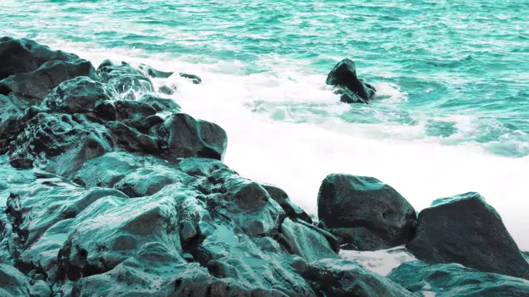 Mental health comes first video