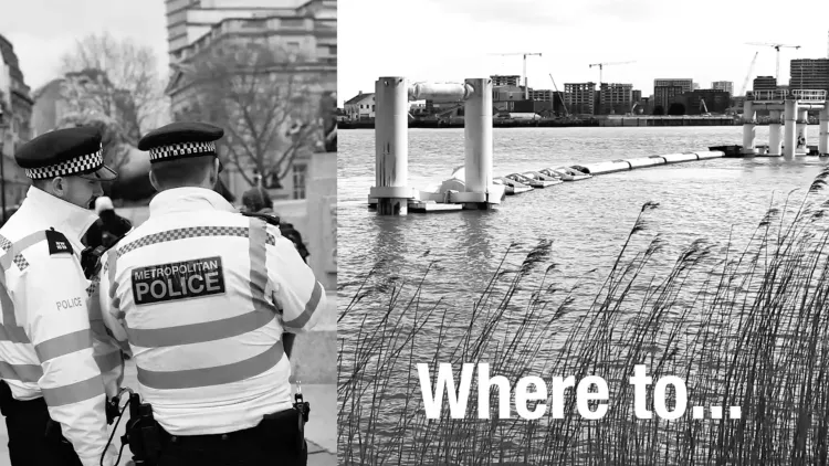 Black and white photo of the back of 2 police officers