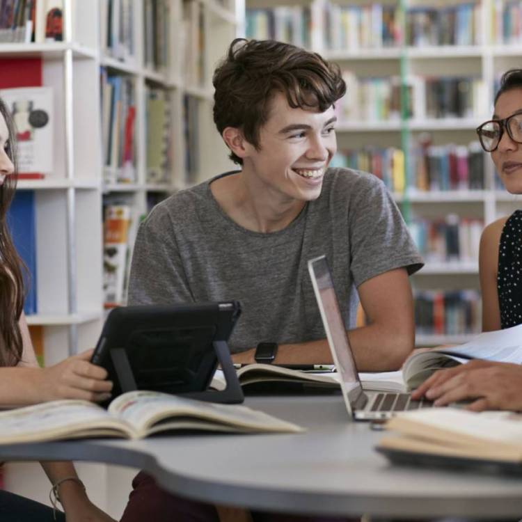 Students working in library