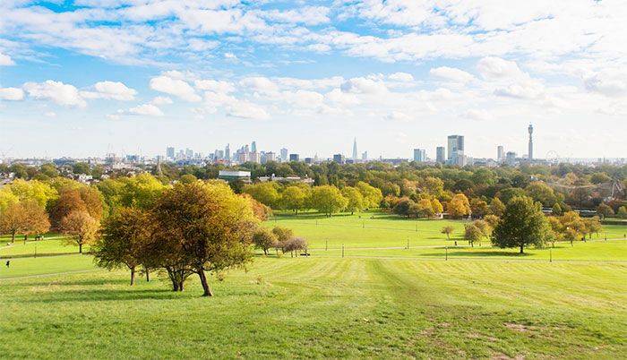 Primrose Hill London