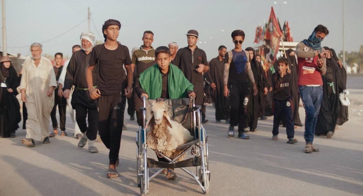 Ali and other pilgrims push Kirmeta the sheep in a wheelchair