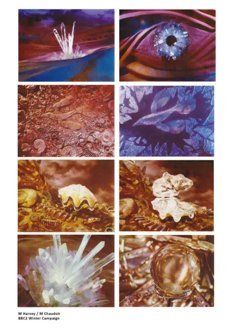 BBC Two Winter campaign copy