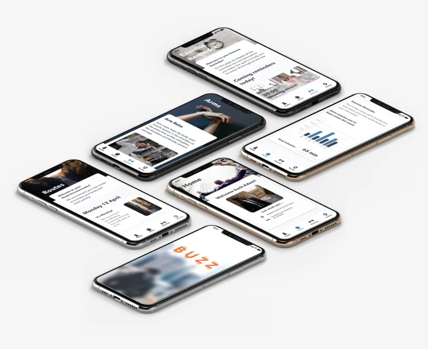 Undergraduate work on the User-Experience and User-Interface Design course