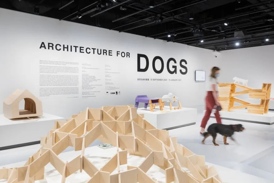 Exhibition about architecture for dogs