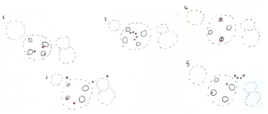 People flow of interviewee 1’s house