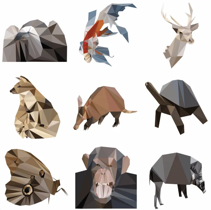 Animal illustrations