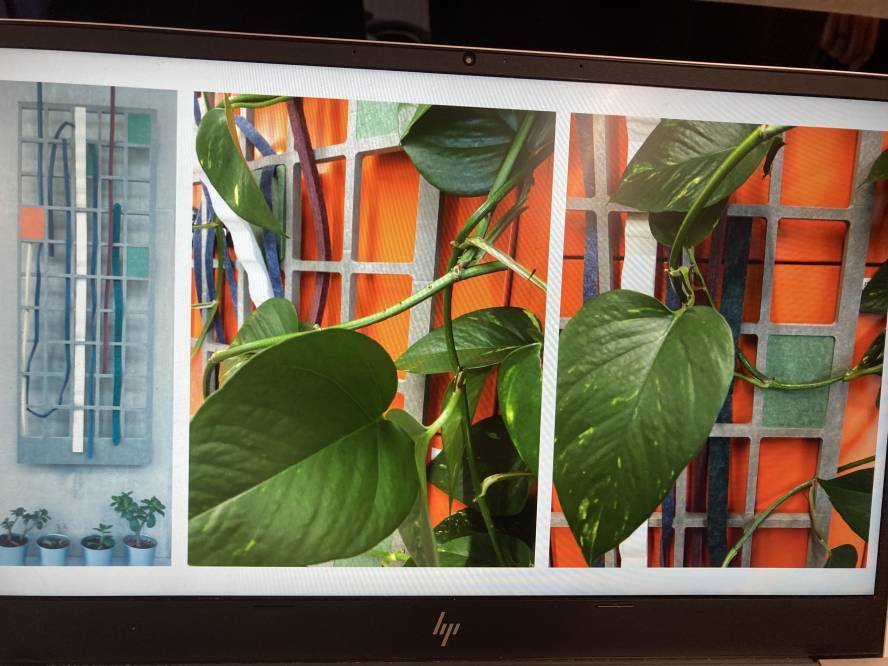 A planter made by students with offcut materials