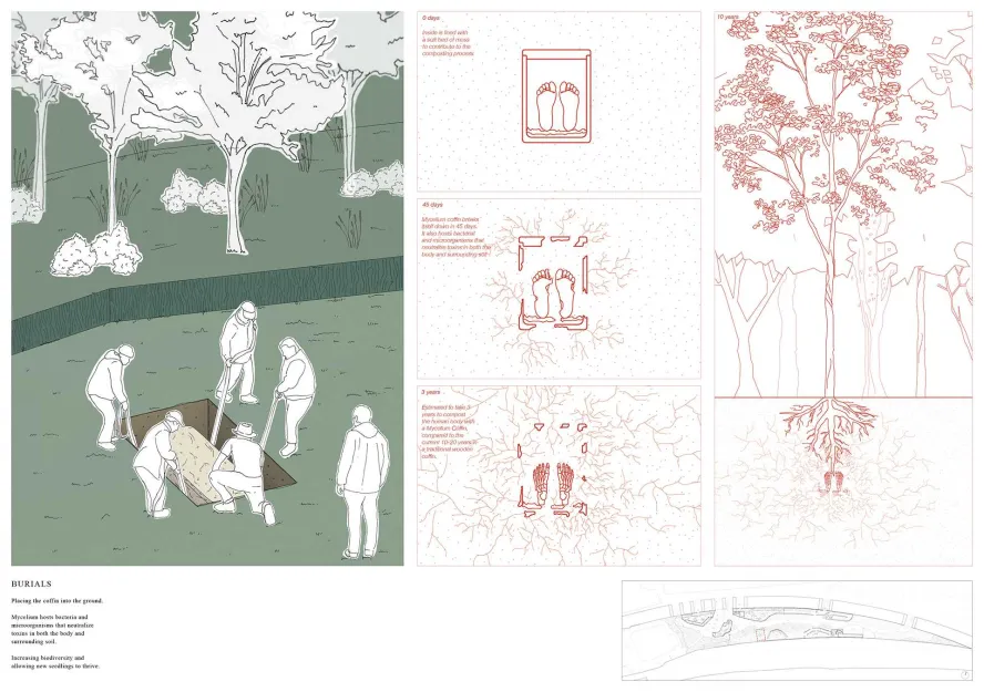 Work by Nanchalee Rebecca Waite