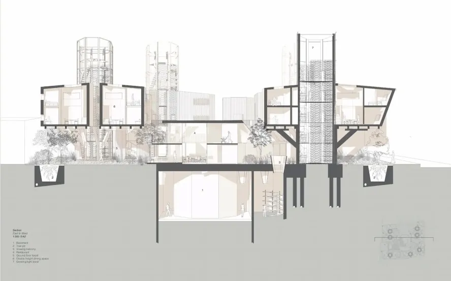 Work by Reesha Sudra