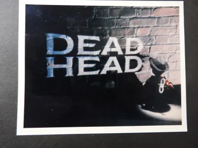 Dead Head frame grab 4