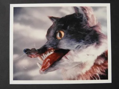 Heart of the Country model storyboard 3