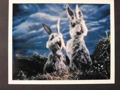 Heart of the Country model storyboard 4