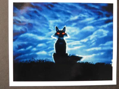 Heart of the Country model storyboard 5