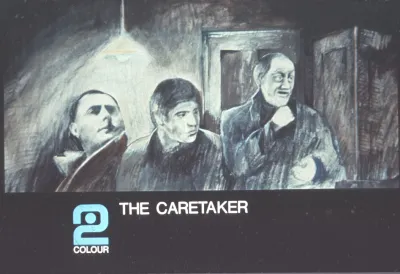 The Caretaker (1971)