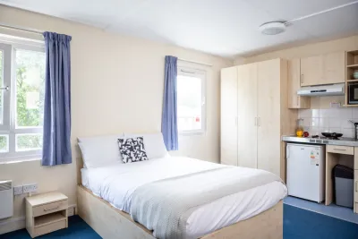 Platinum room with a bed and two windows